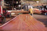 Beautiful Redwood Slab - 17 feet in length, 4 feet in width, 3.5 inches thick.